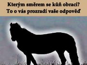 Test – Kterým směrem se kůň obrací? To o vás prozradí vaše odpověď