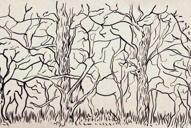 2-82-629x420