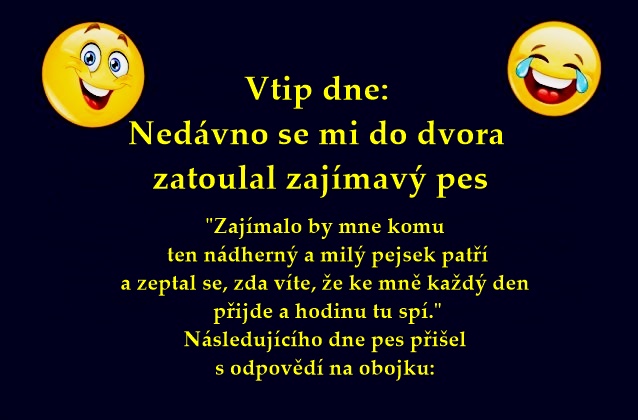 vvs