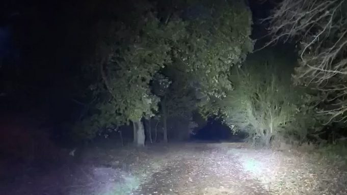 0_PAY-KNM_DEMON_STALKS_DOG_WALKER_9