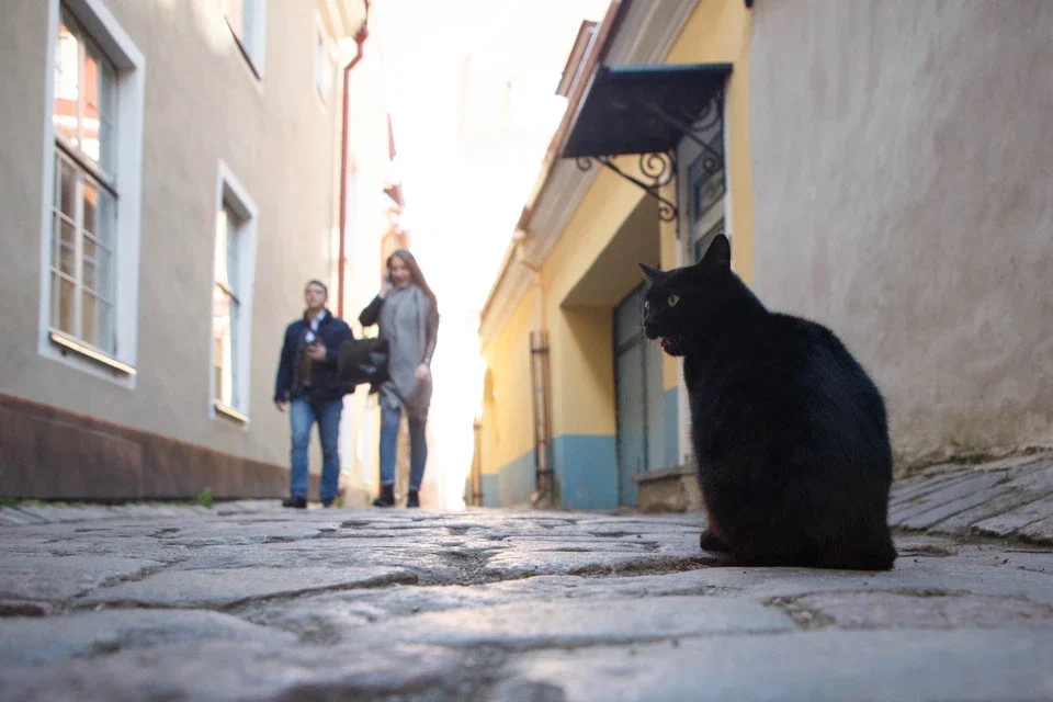 foto z internetu